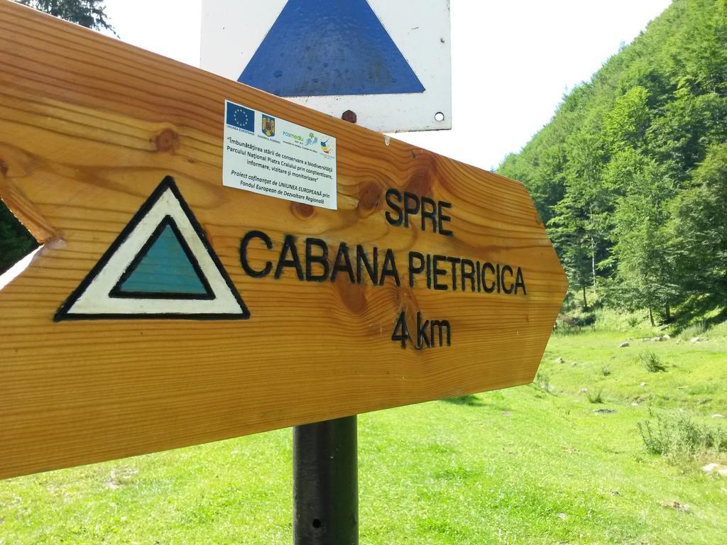 Cabana Pietricica Dâmbovicioara Bagian luar foto