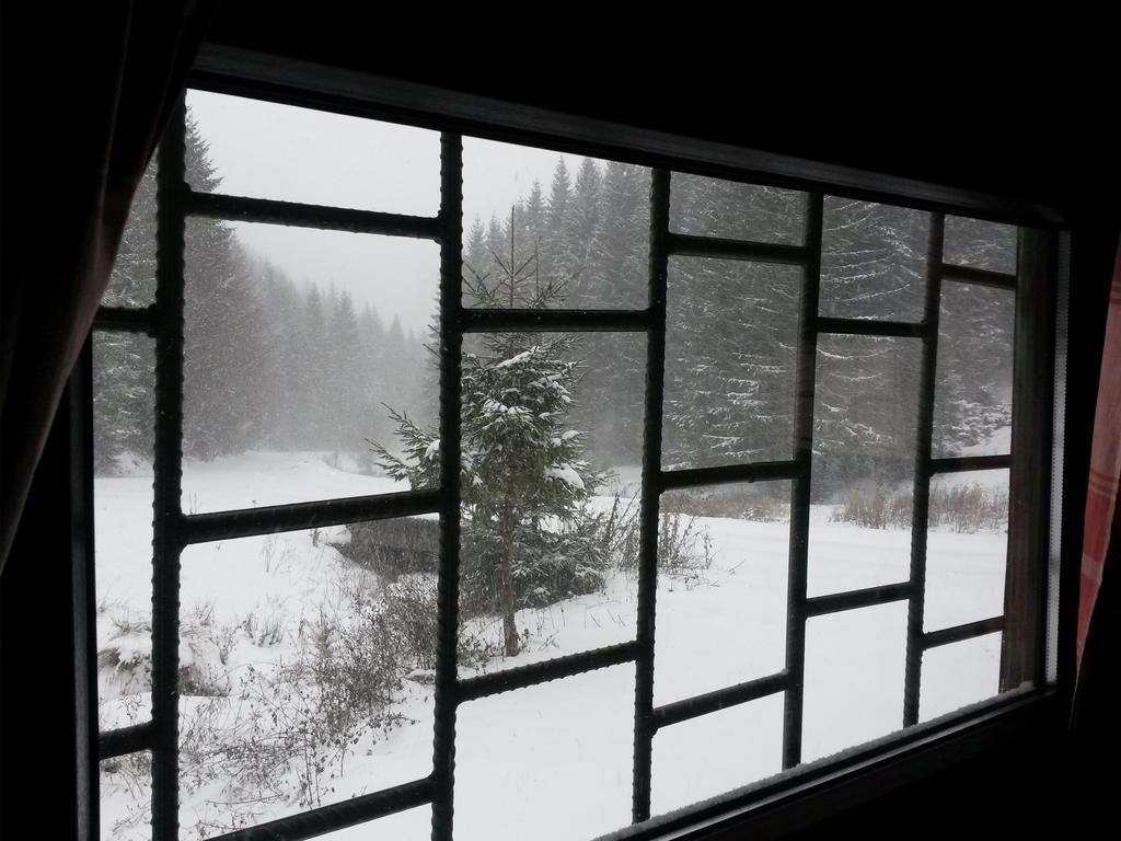 Cabana Pietricica Dâmbovicioara Bagian luar foto