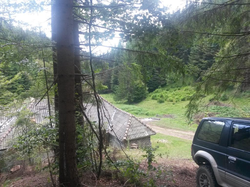 Cabana Pietricica Dâmbovicioara Bagian luar foto