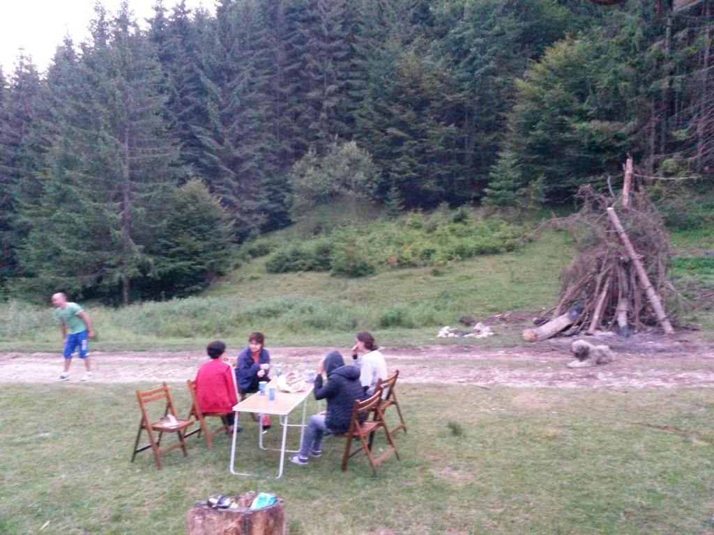 Cabana Pietricica Dâmbovicioara Bagian luar foto