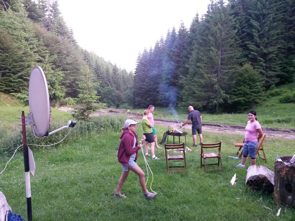 Cabana Pietricica Dâmbovicioara Bagian luar foto