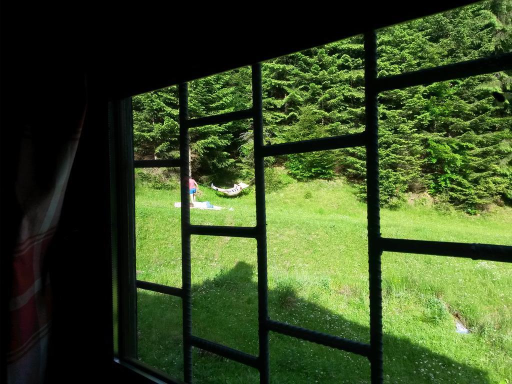 Cabana Pietricica Dâmbovicioara Bagian luar foto
