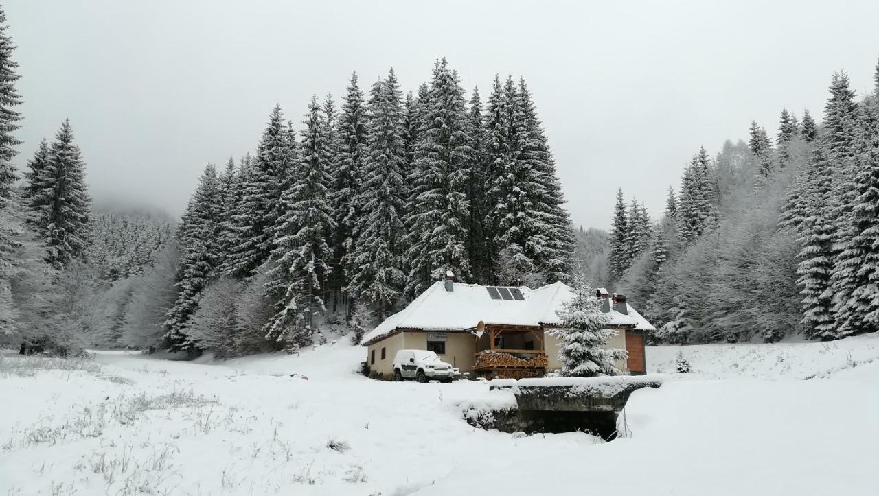 Cabana Pietricica Dâmbovicioara Bagian luar foto