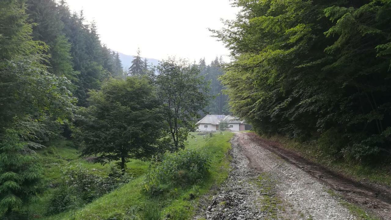Cabana Pietricica Dâmbovicioara Bagian luar foto