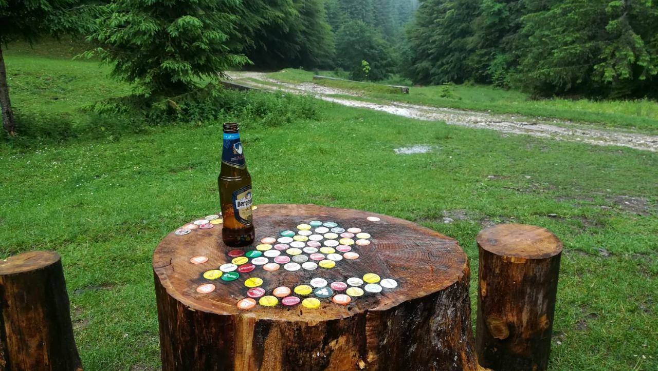 Cabana Pietricica Dâmbovicioara Bagian luar foto