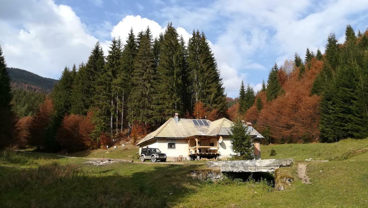 Cabana Pietricica Dâmbovicioara Bagian luar foto