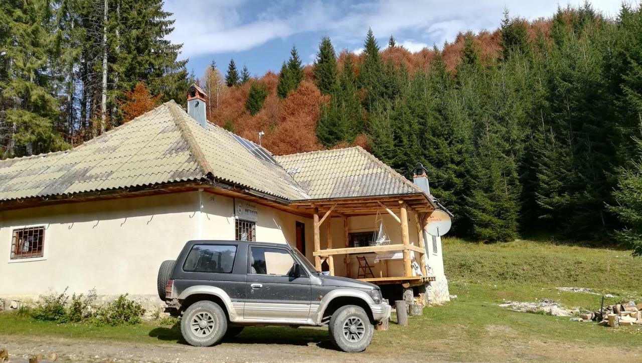 Cabana Pietricica Dâmbovicioara Bagian luar foto