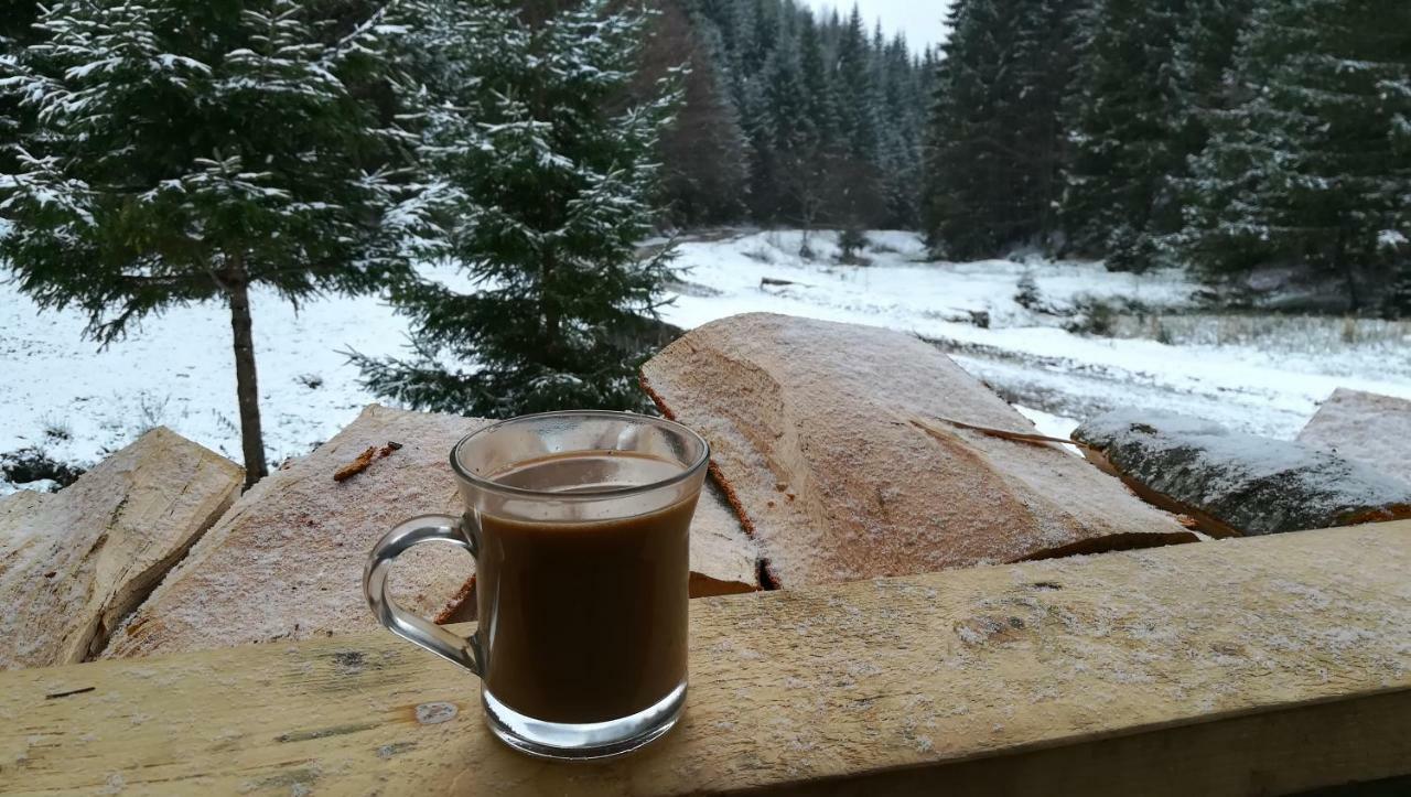 Cabana Pietricica Dâmbovicioara Bagian luar foto