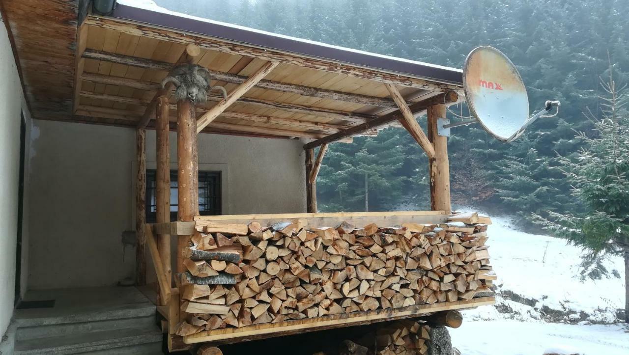 Cabana Pietricica Dâmbovicioara Bagian luar foto