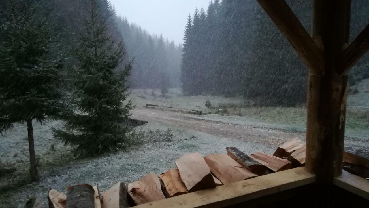 Cabana Pietricica Dâmbovicioara Bagian luar foto