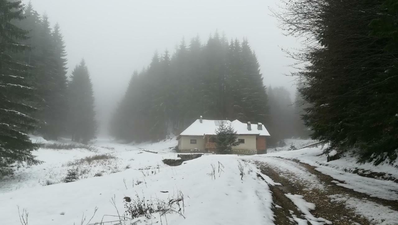 Cabana Pietricica Dâmbovicioara Bagian luar foto