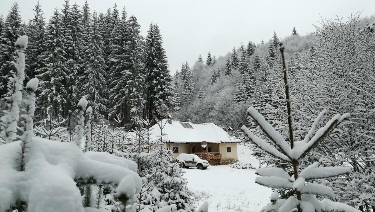 Cabana Pietricica Dâmbovicioara Bagian luar foto
