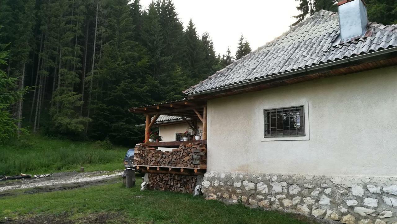 Cabana Pietricica Dâmbovicioara Bagian luar foto