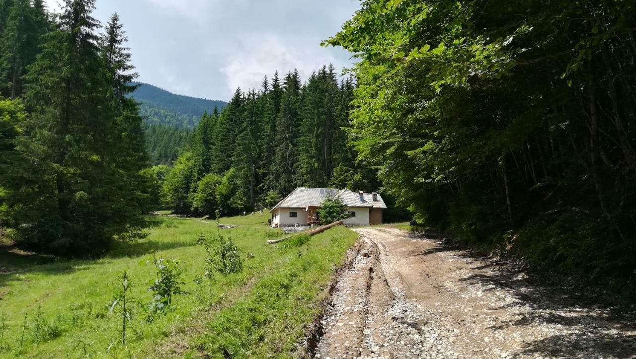 Cabana Pietricica Dâmbovicioara Bagian luar foto