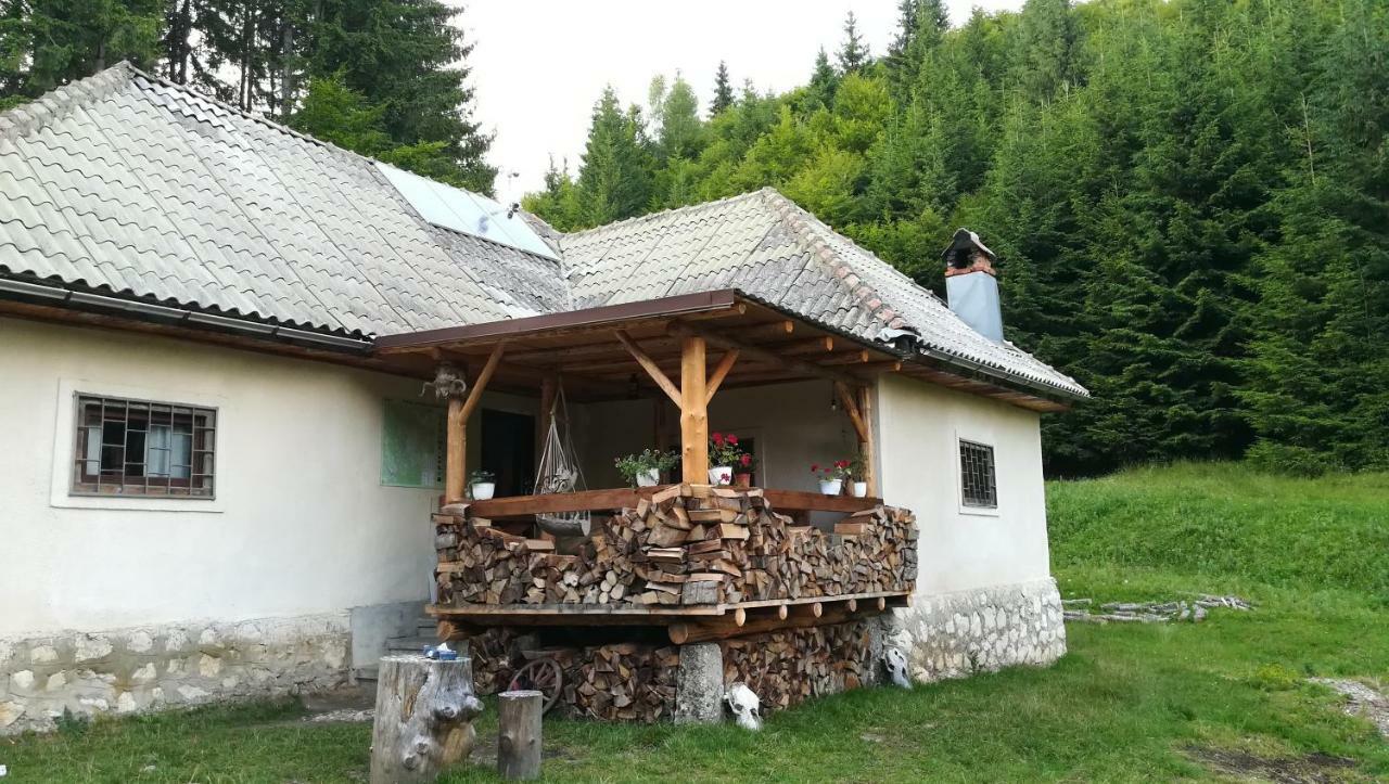 Cabana Pietricica Dâmbovicioara Bagian luar foto