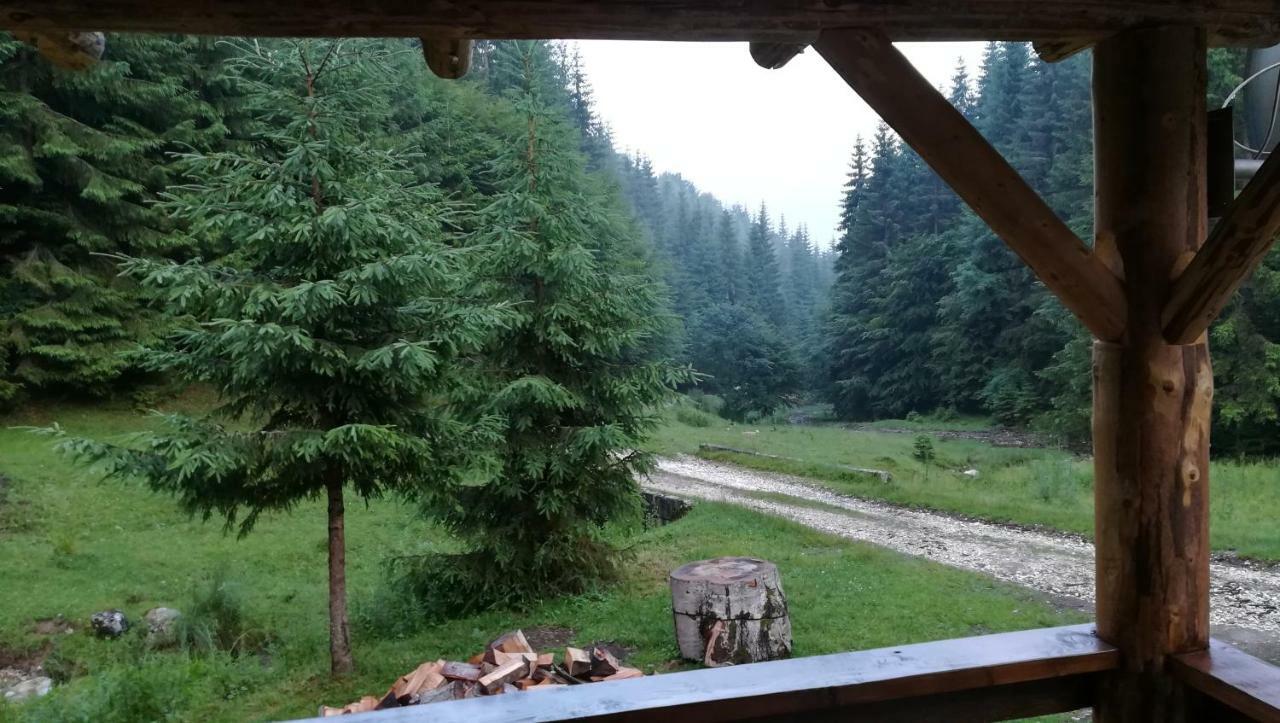 Cabana Pietricica Dâmbovicioara Bagian luar foto