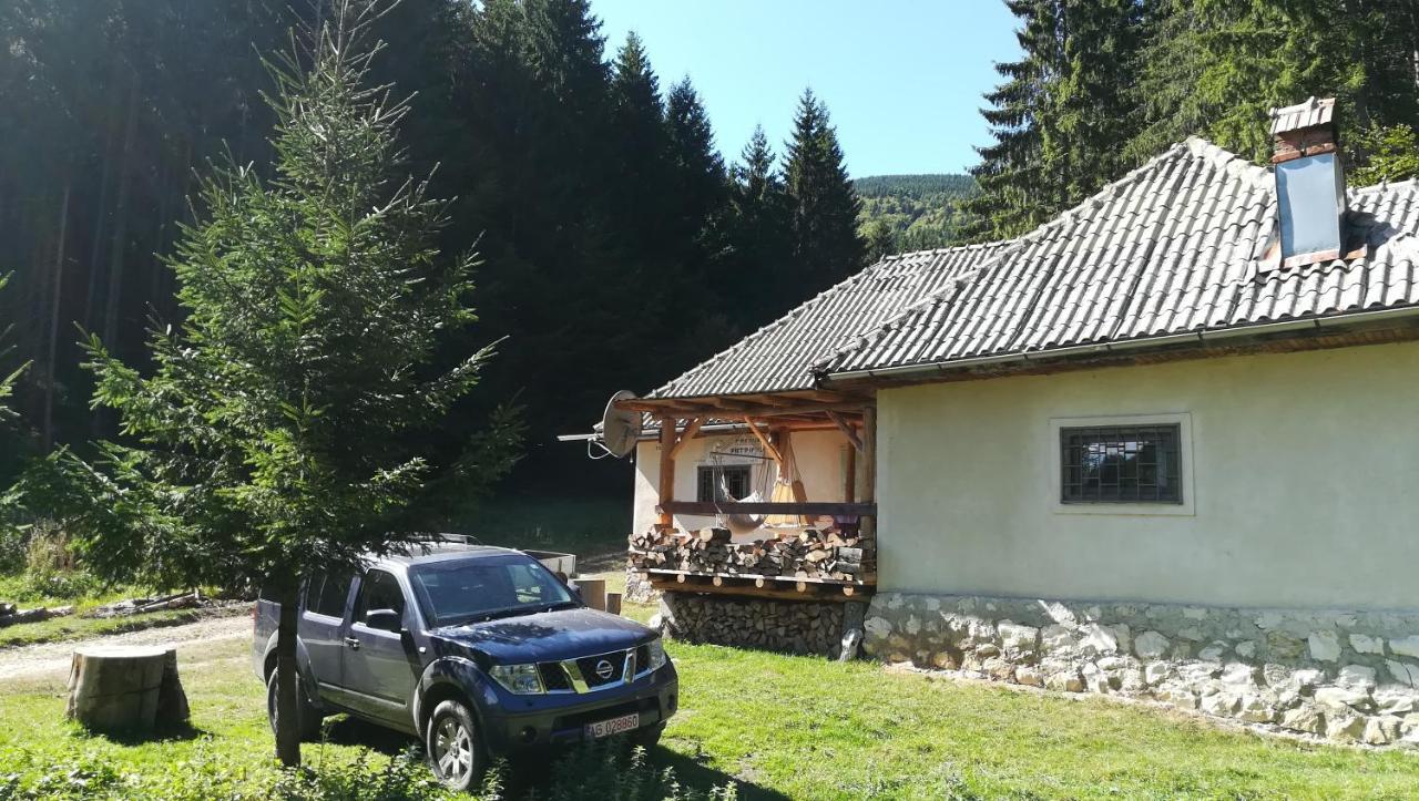 Cabana Pietricica Dâmbovicioara Bagian luar foto
