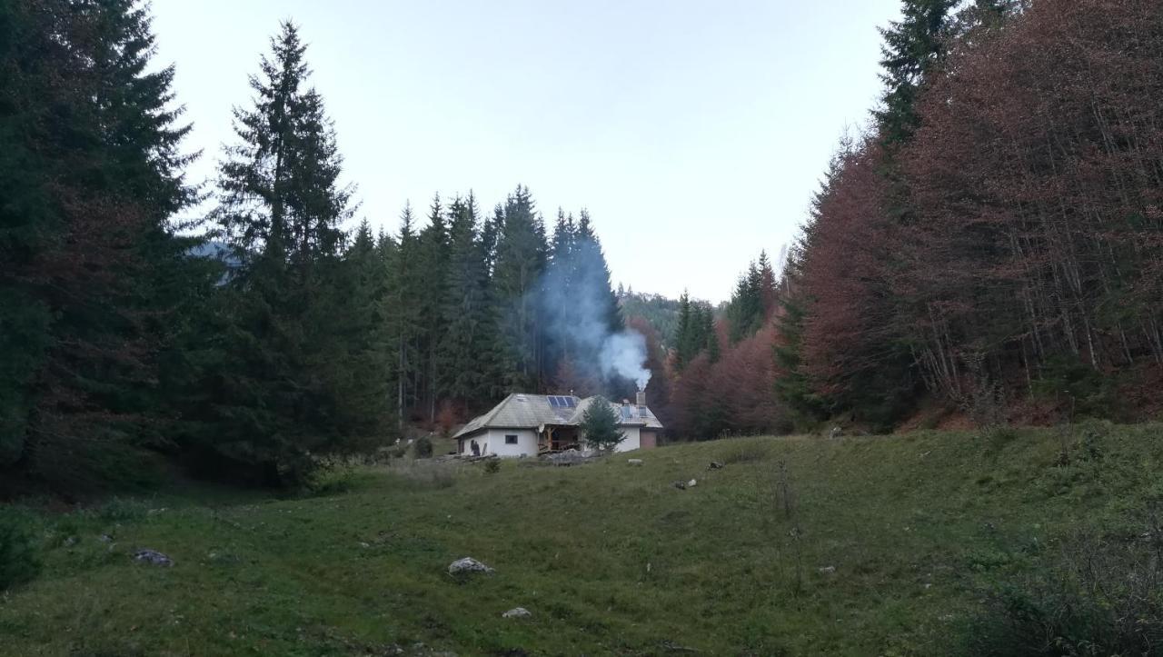 Cabana Pietricica Dâmbovicioara Bagian luar foto